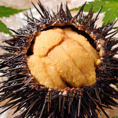 ふるさと納税 稚内市 【期間限定】【4月から発送】稚内の厳選ムラサキウニ 生パック 獲れたて即日発送!100g×2パック |  | 01