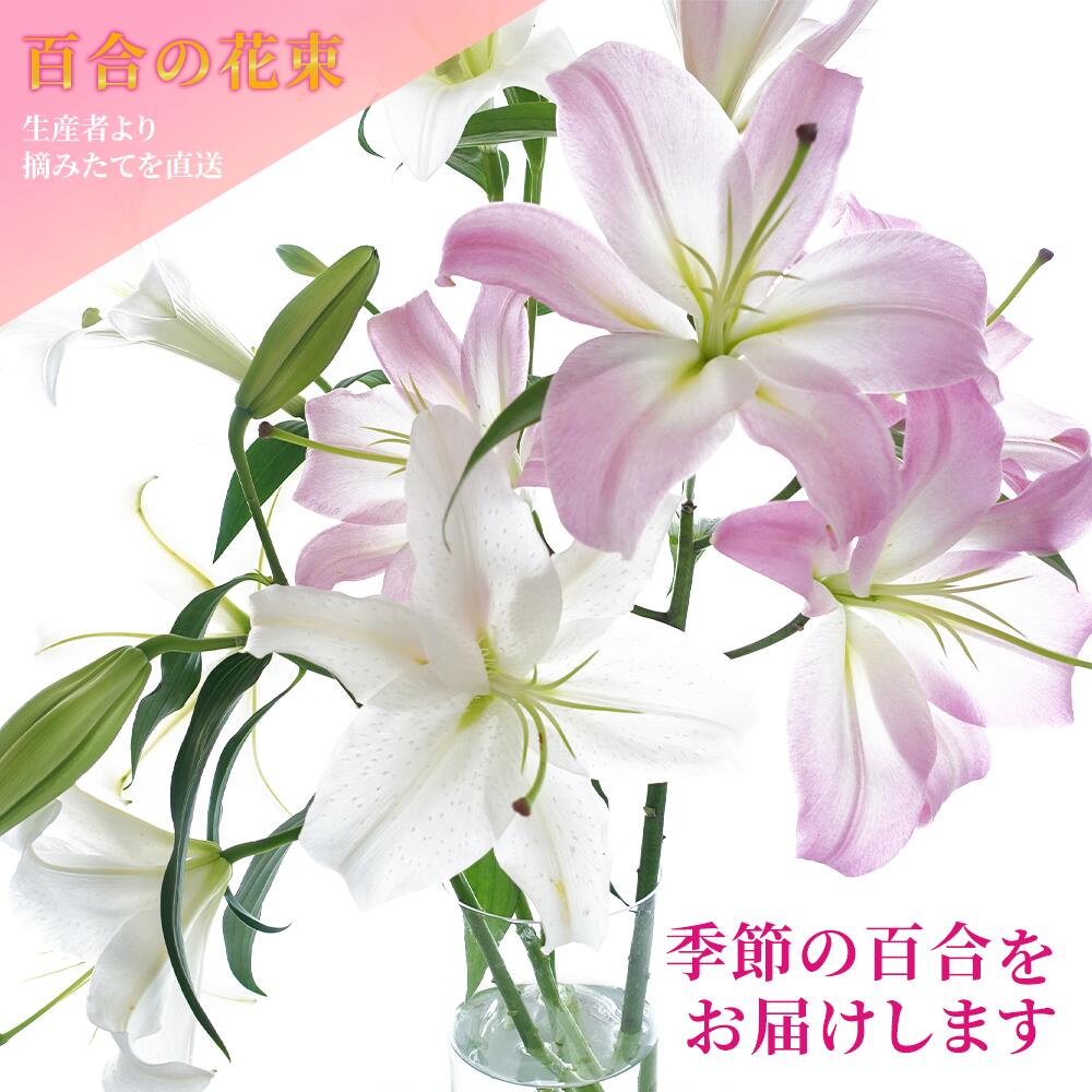 【ふるさと納税】 生産者直送 百合の花束 5本〜7本 ユリだけのボリュームたっぷり花束 オリエンタル系の百合入り 摘みたてつぼみの状態で発送するから咲いていく過程も楽しめる 西川ゆり園