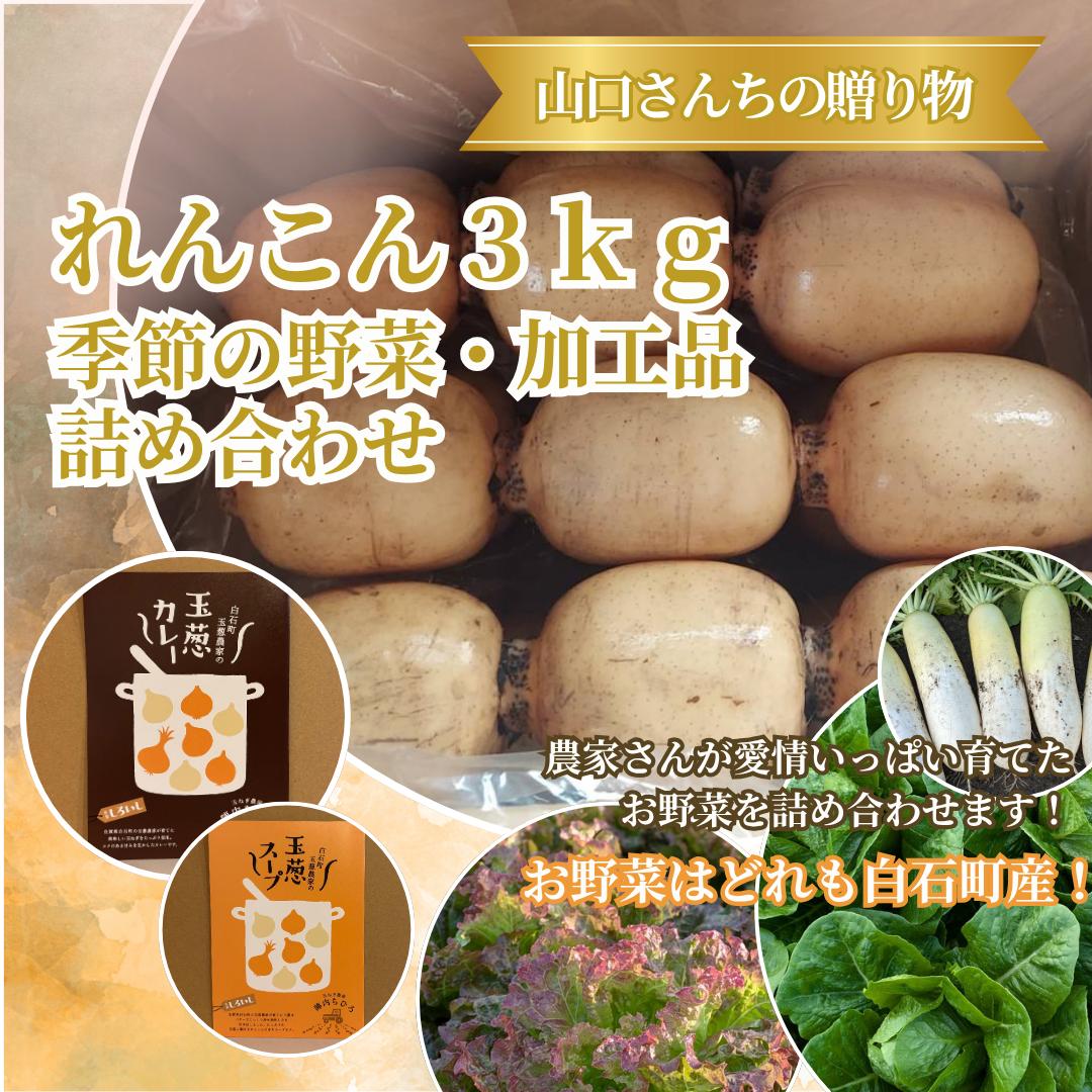 
                  【セット】蓮根3kgと季節の野菜、加工品（玉ねぎカレー、玉ねぎスープ）の詰め合わせ
                