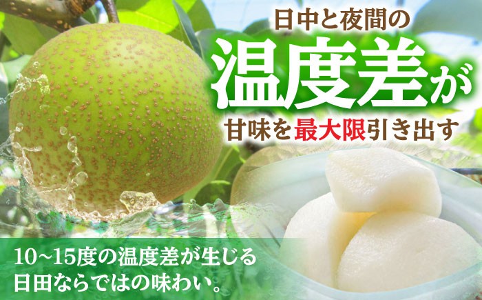 梨 なし 幸水 こうすい 果物 くだもの フルーツ ふるーつ 旬