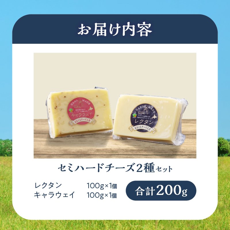 【おおともチーズ工房】セミハードチーズ2種セット(キャラウェイ・レクタン)_H0003-014