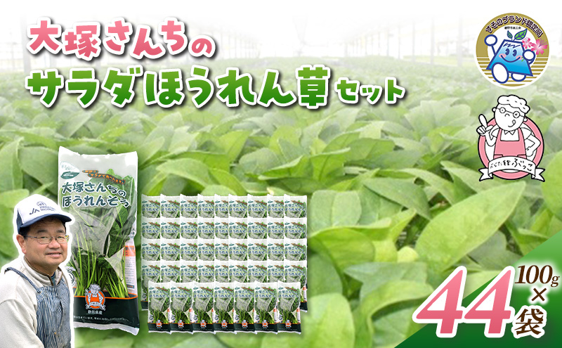 サラダほうれん草 44袋 野菜サラダセット 詰め合わせ ほう