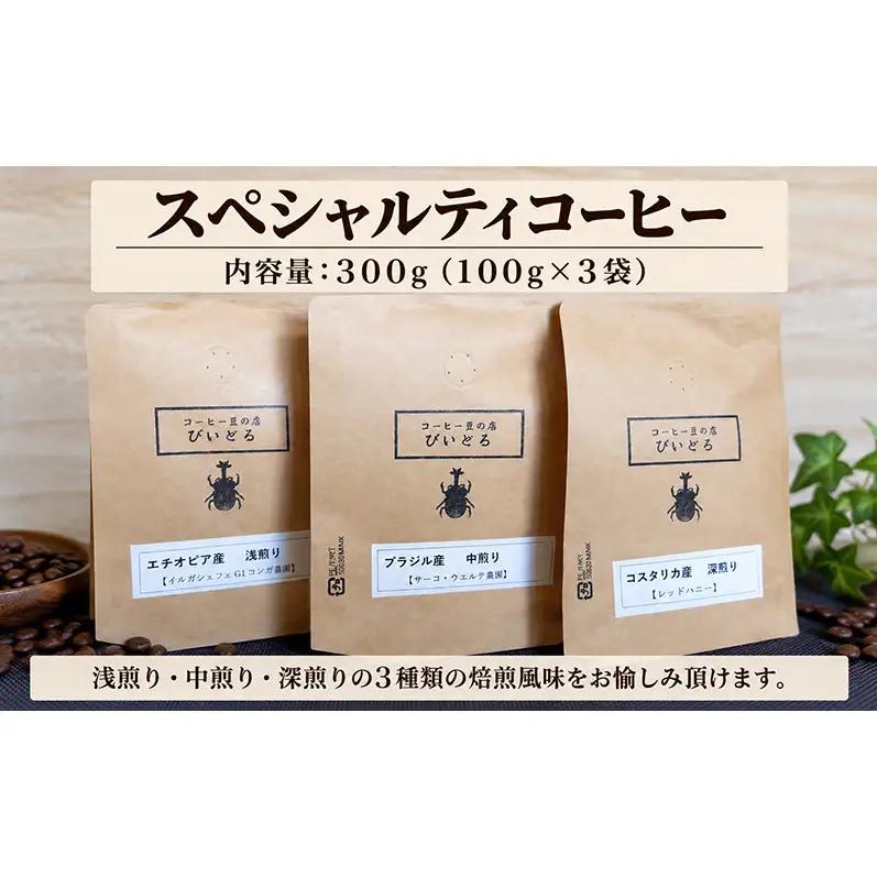 スペシャルティコーヒー豆 (100g×3袋)自家焙煎※浅～深煎り３カ国の豆の組合せセット【粉に挽いて袋入り】【郵便受けへのポスト投函でお届けする商品】