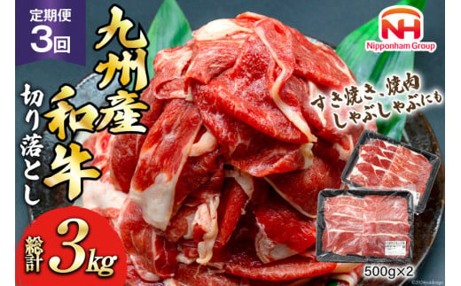 牛肉 訳あり 定期便 日本ハム 九州産和牛 切り落とし 500g 2p 3回 総計 3kg [日本ハムマーケティング 宮崎県 日向市 452061134] すき焼き しゃぶしゃぶ 赤身 小分け 冷凍 訳あり