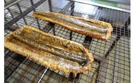 のぞみ 照焼 はも 500g 【2026年5月上旬から12月上旬発送予定】