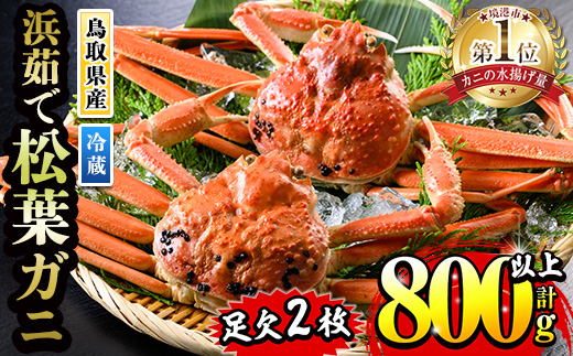 ＜金～日着※指定日・午前中着不可＞＜11月中旬～2月末発送予定＞浜茹松葉ガニ足欠(2枚/計約800g以上)【sm-BE001-D】【川口商店】