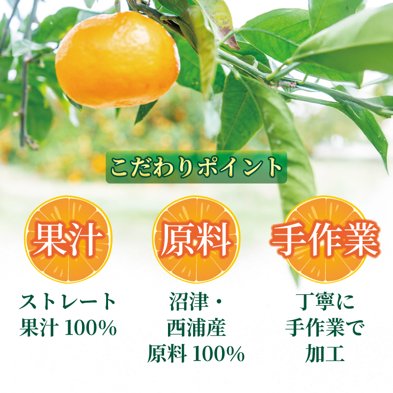 オレンジ ジュース ストレート 果汁 100％ 極早生 みかん 720ml×6本 西浦 蜜柑 濃厚 飲み物 ミカン 人気 贈答用 静岡 沼津