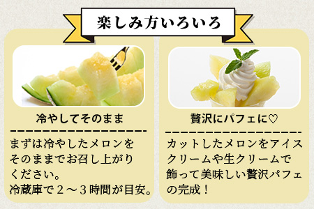 【2027年4月中旬～発送 先行予約】アンデスメロン 4玉〜6玉（約5kg）多良木町 熊本県 メロン フルーツ 果物 期間限定 数量限定