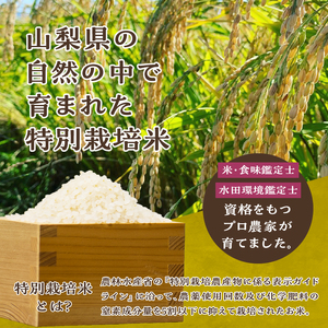 こぴっと米【五百川】2kg　１等特別栽培米100％