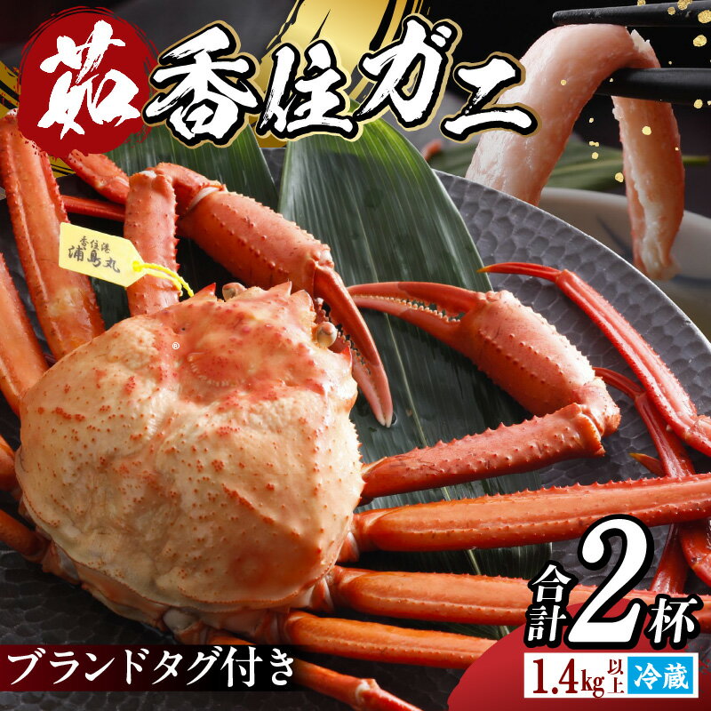 【ふるさと納税】カニ タグ付き 香住ガニ 700g UP 2杯入り 浜茹で ボイル 送料無料 蟹 海鮮 かに 紅ズワイガニ 脚 蟹爪 カニしゃぶ 蟹しゃぶ カニすき カニ鍋 かに鍋 ギフト 鍋 かにみそ ゆで蟹 焼きガニ 焼き蟹 お取り寄せグルメ 香住蟹 香住カニ 姿 国産 高級 冷蔵19-13