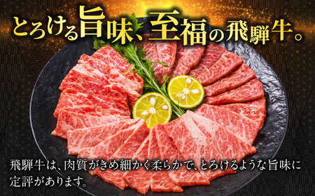 【飛騨牛】霜降りロース・カタロース焼肉(540g)