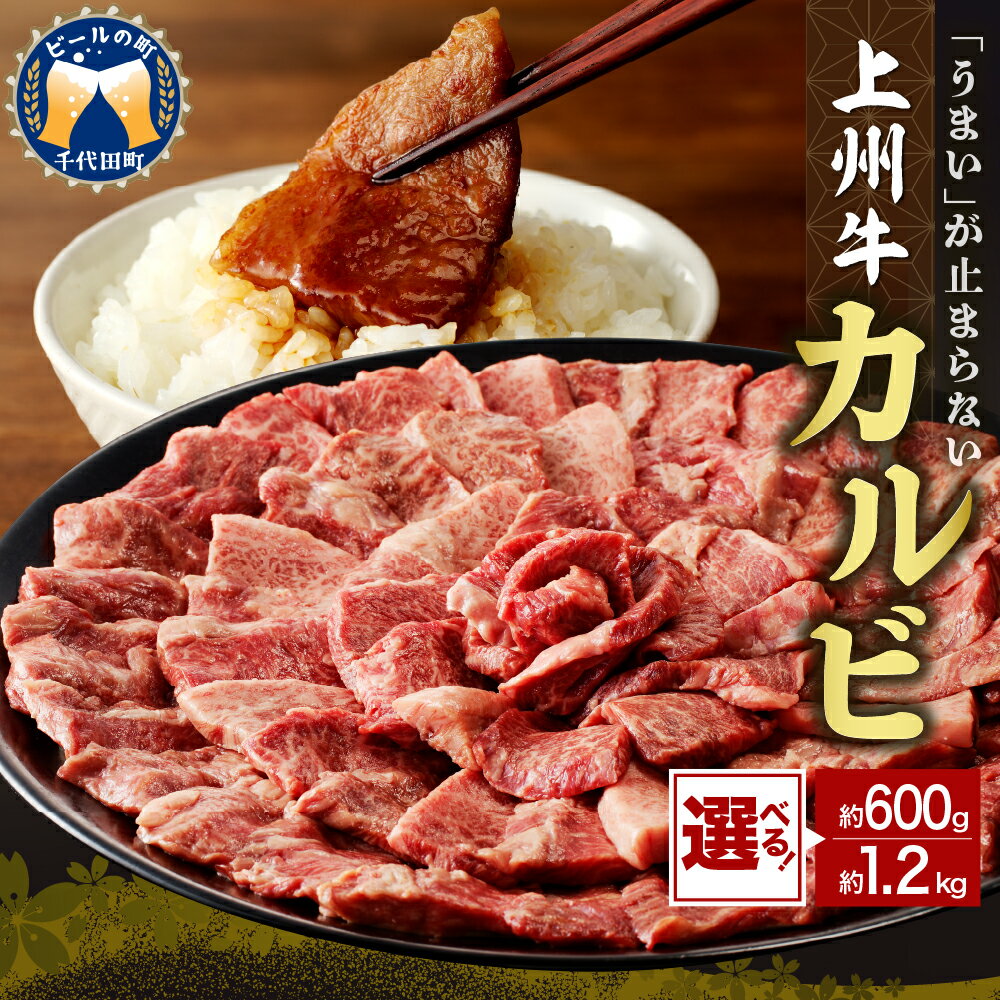 【ふるさと納税】 牛肉 カルビ 【 上州牛 】( 選べる : 600g / 1.2kg ) 国産 和牛 和牛肉 ブランド牛 精肉 肉 お肉 焼肉 バーベキュー BBQ キャンプ アウトドア 食品 冷凍便 グルメ お取り寄せ グルメ 送料無料 群馬 県 千代田町