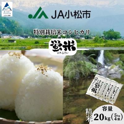 ふるさと納税 小松市 【先行予約】 令和8年産 「 特別栽培米コシヒカリ 」 精米 蛍米 20kg(5kg×4袋)