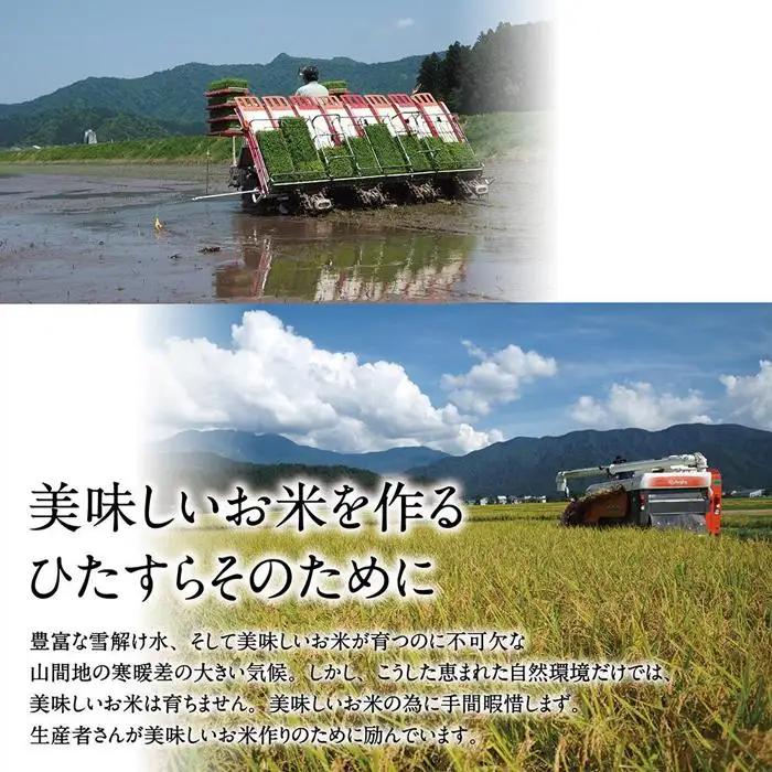 【高島屋選定品】【令和7年産】〈JAみなみ魚沼〉南魚沼産こしひかり5kg【銘柄米 ブランド米 精米 こしひかり コシヒカリ 魚沼産 新潟米 産地直送 お米 米 こめ コメ ご飯 御飯 ごはん】