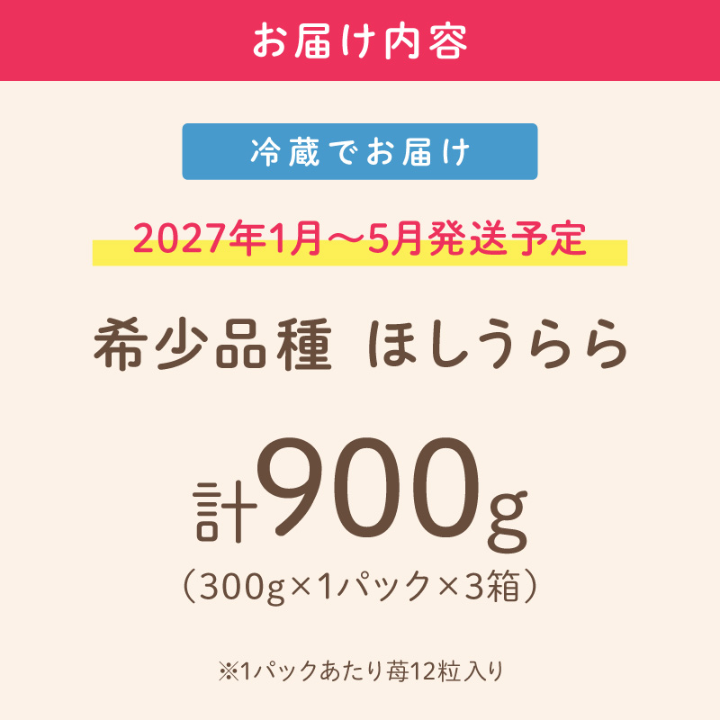 【2027年1月～5月発送予定】【糖度12〜15度の希少品種】いちご ほしうらら 約900g（約300g×1パック×3箱） ※お届け不可地域あり【121D-003-2027】