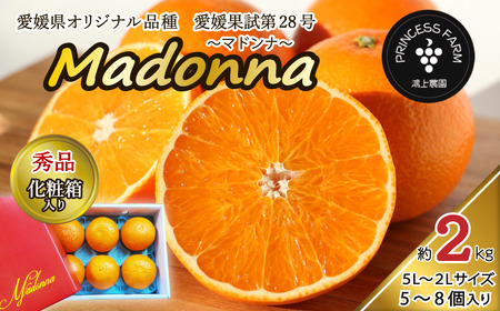 【先行予約】 農園直送 「Madonna（ 愛媛果試第28号 ）」 約２㎏ 秀品 化粧箱 お任せサイズ（2L～5L）5～8個入 2025年11月下旬～2026年1月中旬頃発送　愛媛県オリジナル品種 柑橘 マドンナ