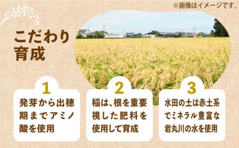 【全5回定期便】【先行予約】【令和6年産新米】 ひかりファーム の 夢つくし 3kg【2024年10月以降順次発送】《築上町》【ひかりファーム】 [ABAV016]