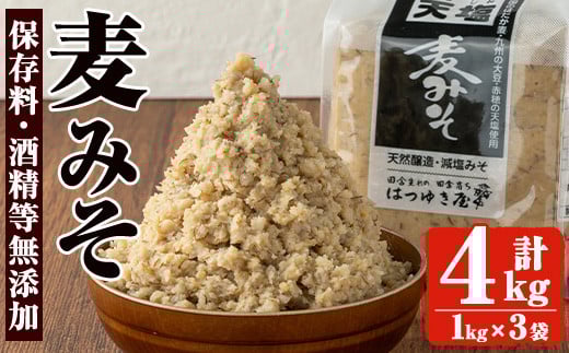 No.3351 保存料・酒精等無添加みそ 麦みそ(1kg×4袋)甘口 減塩 麦みそ 保存料・酒精等無添加 国産 九州 味噌 みそ 調味料 麹 こうじ 味噌汁 みそ汁【はつゆき屋】