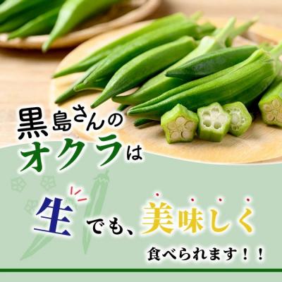 ふるさと納税 石垣市 希少!黒島さんの採れたてオクラ100本セット 10月下旬以降順次発送 |  | 01