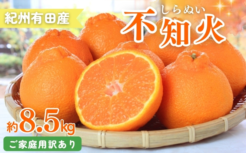 【ご家庭用】紀州有田産 不知火(しらぬひ) 約8.5kg 【予約】 訳あり ※2025年2月中旬頃〜3月上旬頃に順次発送予定(お届け日指定不可) 不知火 みかん ミカン 柑橘 果物 フルーツ