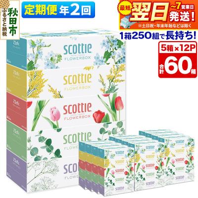 ふるさと納税 秋田市 《2回定期便》ティッシュ フラワーボックス 60箱 5箱×12P|15_nsc-071202