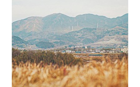 No.302 【北浜】ABITACOLO 貸切チケット