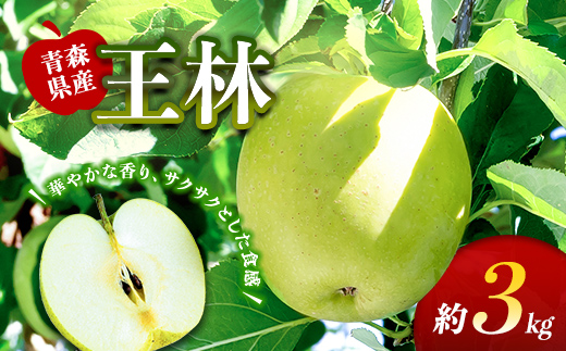 藤崎町産 りんご 王林 約3kg 【ふじさき季の会】 青森りんご リンゴ 林檎 アップル ふじ発祥の地 おすすめ 東北 青森県 藤崎町 F41-0122