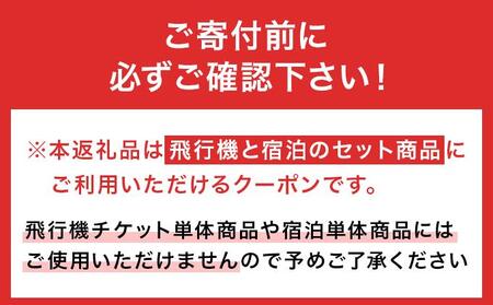 石垣市に泊まるふるさと納税旅行クーポン【6,000円分】｜沖縄県 石垣市 石垣島 八重山 旅行 クーポン 旅行クーポン 電子クーポン 日本空輸 NK-2