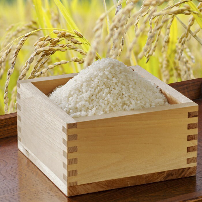 【ふるさと納税】〈令和7年産〉浦臼産 ゆめぴりか 精白米 5kg×1袋 【2026年1月下旬-8月下旬迄順次発送予定】 【全国どこでもお届け！】 米 お米 おこめ こめ 白米 北海道 浦臼町 送料無料