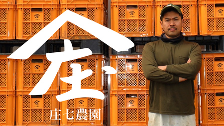 【 簡易包装・ご自宅用 ＜真空パック＞ 】 干し芋 寒干し【B品】 800g