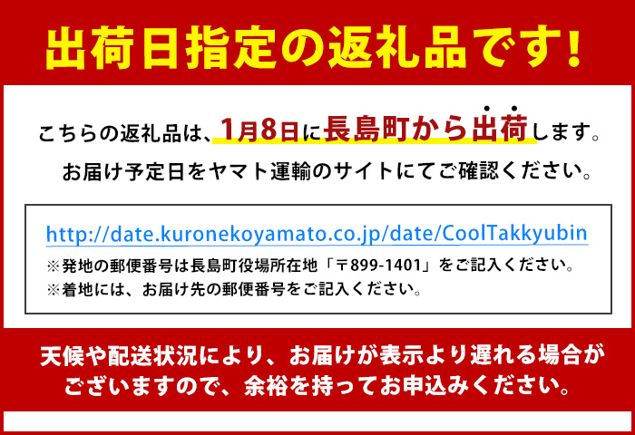 ＼年始発送 先行予約／＜数量限定＞【2027年1月8日発送】『旅サラダ』で紹介ぶりの王様「 鰤王 」 フィレ 半身 (約1.2～1.5kg・フィレ1枚) 産地直送 新鮮 旨味が抜群の 長島町 特産品 