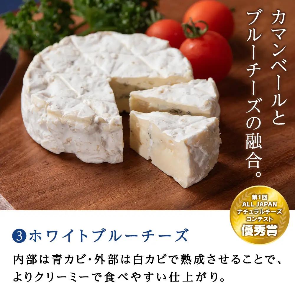 チーズ3種セット クリームチーズ・カマンベール・ホワイトブルーチーズ 各1個 セット