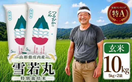 【令和7年産】 特別栽培米 雪若丸 玄米 10kg(5kg×2袋)　山形県 庄内産 　| ゆきわかまる 10キロ 米 お米 コメ 食品 ご飯 ごはん 美味しい おいしい ブランド米 庄内米 エコ包装 おすすめ 人気 山形県 鶴岡市 東北 国産 お取り寄せ SDGs未来都市鶴岡 返礼品