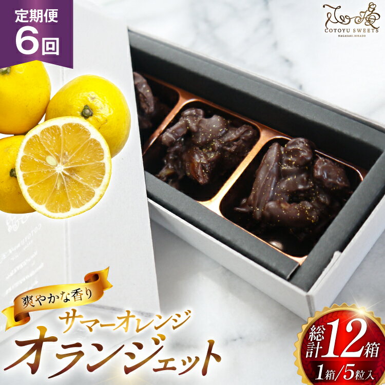 【ふるさと納税】 チョコ オランジェット サマー オレンジ 5粒入り 2箱 セット 6回 定期便 総計 12箱 [心優-Cotoyu Sweets- 長崎県 平戸市 hr42bjo490255] チョコレート ショコラ ピール 柑橘 スイーツ