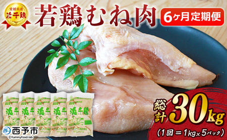 ＜愛媛県産 銘柄鶏 浜千鶏（はまちどり）若鶏むね肉 5kg（1kg×5）6ヶ月定期便＞ 国産 鶏肉 大容量 業務用 家庭用 鳥肉 とり チキン ムネ 精肉 塊 ブロック 定期便 産地直送 愛媛県 西予市【冷凍】『1か月以内に順次出荷』OMF0005