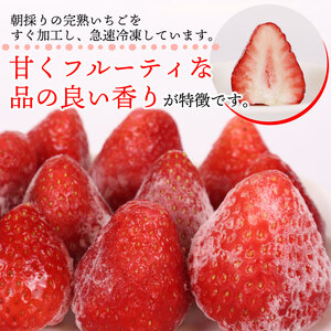 冷凍いちご いちご 1kg きらぴ香 冷凍いちご