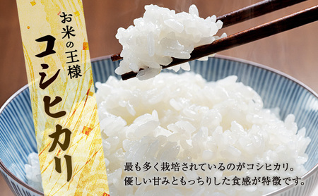 コシヒカリ 2kg 精米　お米 白米 ライス ご飯 ブランド米 銘柄米 主食 お弁当 おにぎり 群馬県 東吾妻町