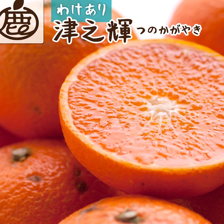 
                  ＜2月より発送＞家庭用 津之輝2.5kg+250g（傷み補償分）つのかがやき｜わけあり・訳あり【光センサー選別】 ※北海道・沖縄・離島への配送不可 ※2026年2月上旬～4月中旬頃に順次発送予定
                