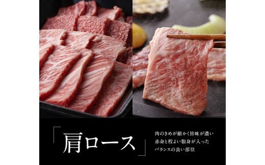 宮崎牛 ＆ 宮崎県産豚 焼肉セット 1.4kg[D0647]