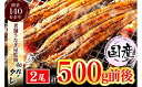 【ふるさと納税】九州産・鰻の蒲焼2尾（計500g前後）【当店オリジナル味付け】_AU-065