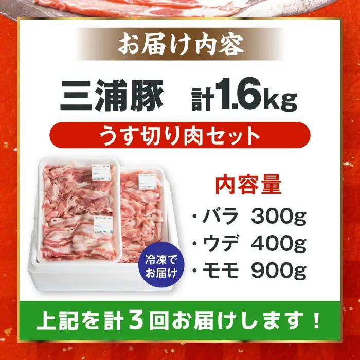 【3回定期便】 特盛三浦豚 1.6kg 豚肉セット / 恵那市 / あづま精肉店 [AUDL006]