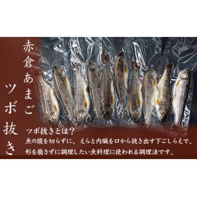 ふるさと納税 熊野市 あまごツボ抜き　10本入り　下処理済み　塩焼きや色々なお料理に |  | 03