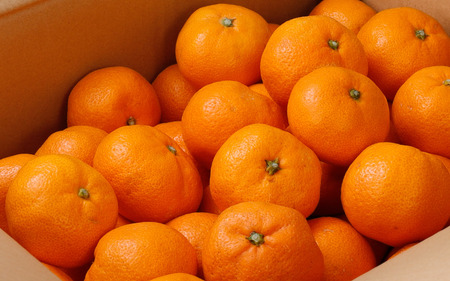 有田みかん 約2kg みかん【光センサー選別】【nuk159-01】