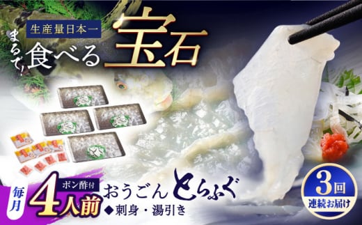 【全3回定期便】活〆おうごんとらふぐ 刺身 セット（4人前） 平戸市 / 松永水産 [KAB279]おうごんとらふぐ 刺身 通販 お取り寄せ 長崎 高級魚 海鮮 グルメ ごちそう トラフグ ふぐ