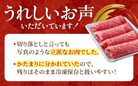 【圧倒的リピート率！】【6回定期便】佐賀県産 黒毛和牛 贅沢切り落とし 1kg（1000g×1パック）【株式会社いろは精肉店】 [IAG066]