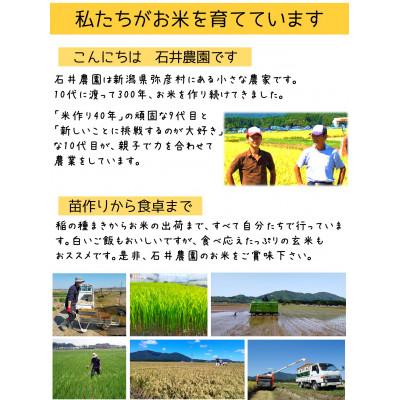 ふるさと納税 弥彦村 新県弥彦村石井農園　令和7年産コシヒカリ白米・玄米 食べ比べセット【白米5kg、玄米5kg】 |  | 01