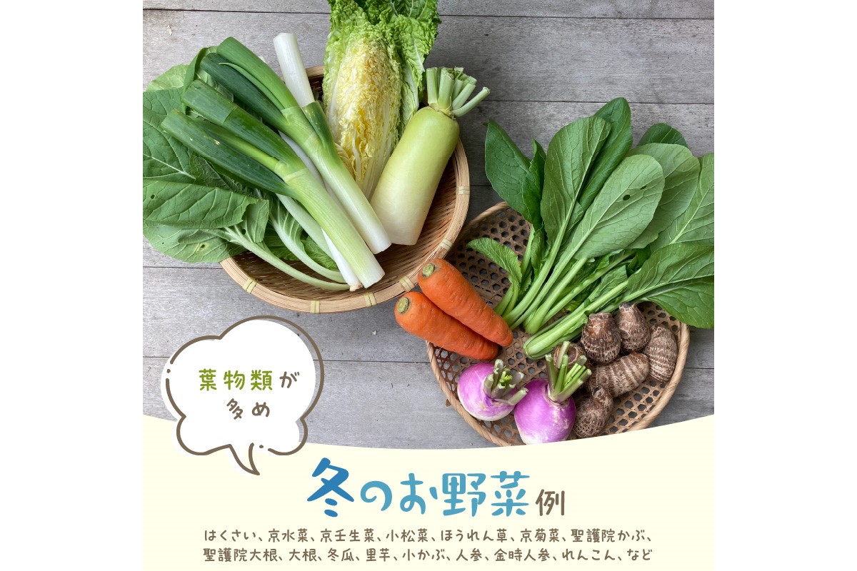 【定期便】合計6回お届け　有機野菜・京野菜の『京都やおよし』の京丹後・亀岡市お野菜＆九条ねぎ＆お米2kg（丹後コシヒカリ特別栽培米）詰め合わせ　AA00008