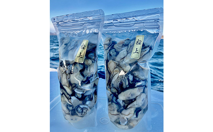 北海道 湧別町 サロマ湖産 1年 牡蠣 剥き身1kg（500g×2） カキ 生ガキ むき牡蠣 海鮮 魚介 国産 生食 むき身 生牡蠣 冷蔵 産地直送 サロマ湖 オホーツク