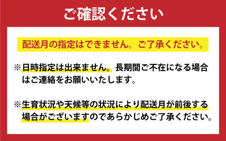 【全6回定期便】 毎月違ったお品が届く！ 小さな島の贈り物 10万円 100,000円 魚醤3本 ドレッシング ピーナッツペースト＆ジンジャーシロップ おぢかんうまか米 落花生 ヒラマサのつけ丼 [D