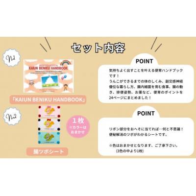 ふるさと納税 小松市 腸活セット 玄米ホットパック(大) |  | 01